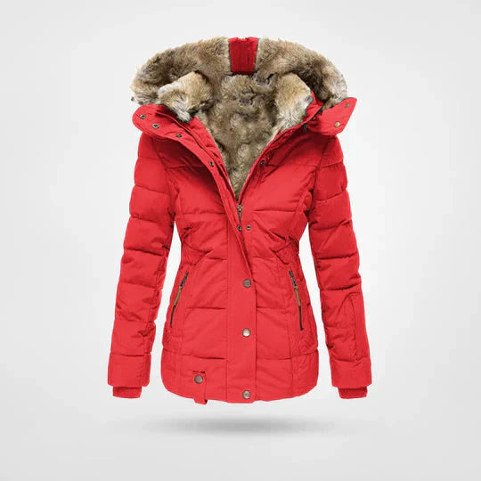 Waterproof Winter Jacket