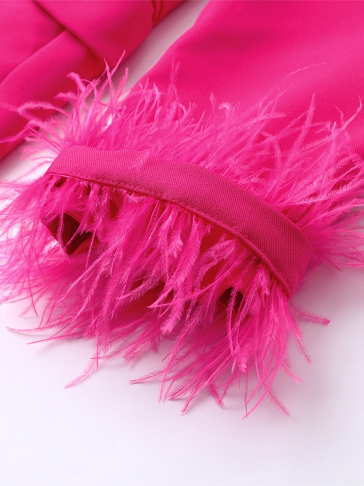 Pink suit with feathers