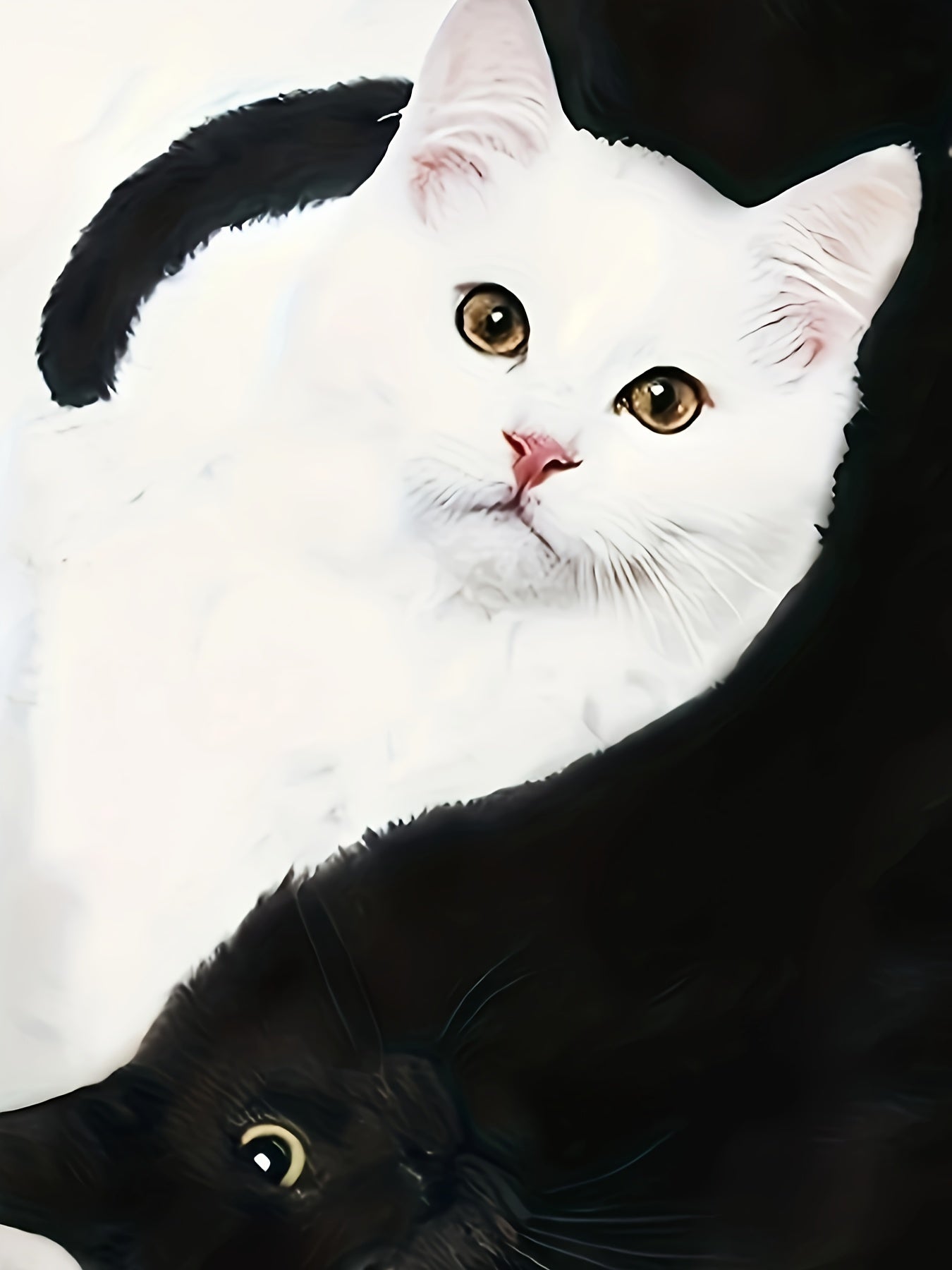 T-Shirt with Cat Print and Trendy Color Blocks – Summer 2025 Collection – Marit