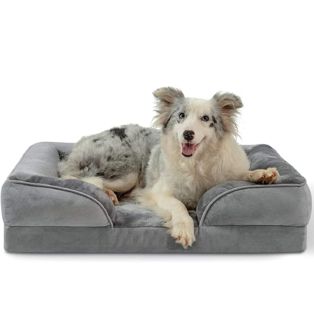 Orthopedic Dog Bed