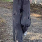 Felicity - Women's Trousers