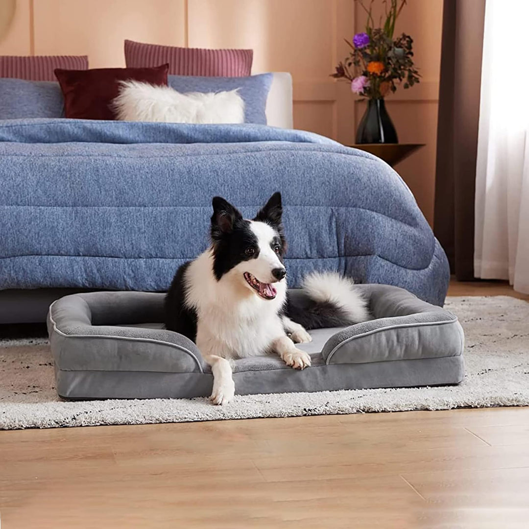 Orthopedic Dog Bed