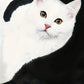 T-Shirt with Cat Print and Trendy Color Blocks – Summer 2025 Collection – Marit